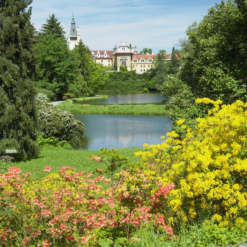 Ботанический сад с замком Пругонице